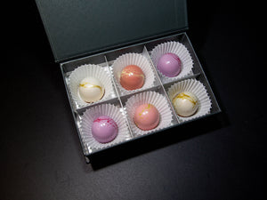 Bloom Collection
