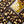 Dark Chocolate Nuts
