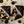 Dark Chocolate Nuts