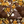 Milk Chocolate Nuts