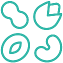 Supporting Gut Health